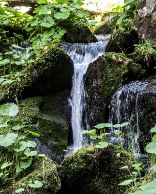 tarafından yosun kaplı taşlar ile küçük şelale