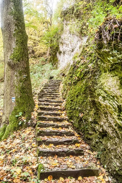 autumn hiking trail with stone stairs covered by fallen leaves with rocks around