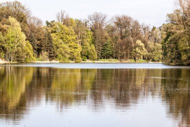 Ağaçları saran geç sonbahar kısmen donmuş gölet