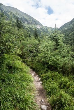 Slovakya Mountains Batı Tatras Kamenista dolina Vadisi