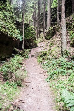 iz Kayaların etrafında ile ormandaki hiking
