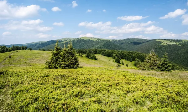 Lucanska Mala Fatra bergketen van Horna luka hill in Slowakije tijdens een mooie zomerdag — Stockfoto