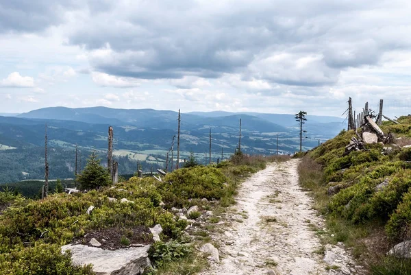 Pěší stezka poblíž Kralický Sněžník hill s horský masív Hrubého Jeseníku na pozadí v České republice — Stock fotografie