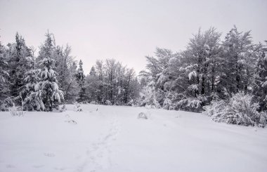 mountaim çayır çevresinde donmuş ağaçlar ve kar ayakkabıları adımlarla Kykula tepe Kysucke Beskydy (Beskid Zywiecki) Dağları'nda üzerinde