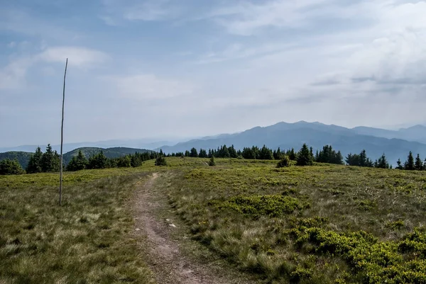 Na colina de Zazriva em Lucanska Mala Fatra montanhas com prado de montanha, trilha de caminhadas e Krivanska Mala Fatra montanhas panorama na Eslováquia — Fotografia de Stock