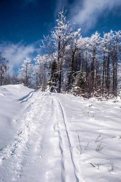 Schneebedeckter Wanderweg mit gefrorenen Bäumen und blauem Himmel mit Wolken in verschneiten Bergen — Stockfoto