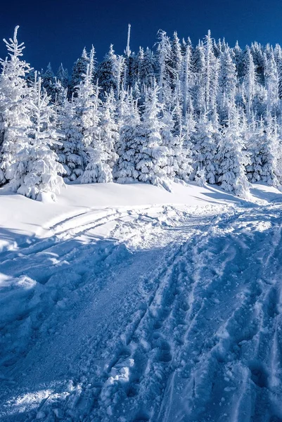 Lysa hora hill im Winter moravskoslezske beskydy Berge in der Tschechischen Republik — Stockfoto