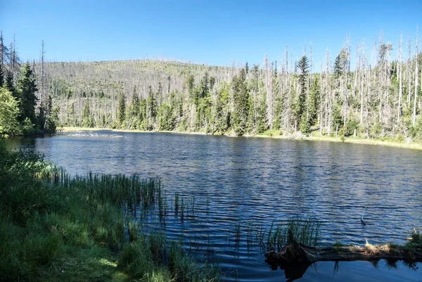 Laka mountain lake in Sumava mountains in Czech republic — Stock Photo, Image