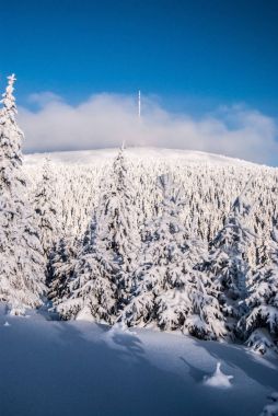 Praded hill dondurucu kış günü kar ve mavi gökyüzü bulutlu ile Çek Cumhuriyeti'nde Jeseniky dağlarında