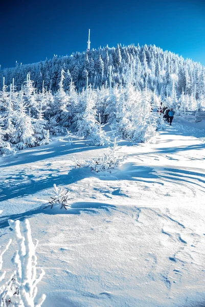 Lysa hora colina en invierno Moravskoslezske Montañas Beskydy en República Checa —  Fotos de Stock