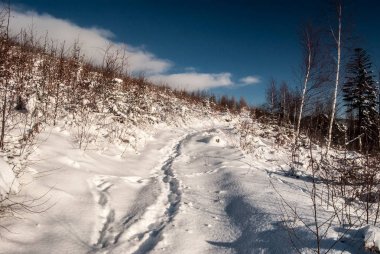 karla kaplı yürüyüş iz kaç etrafındaki ağaçlarla ve mavi gökyüzü bulutlu