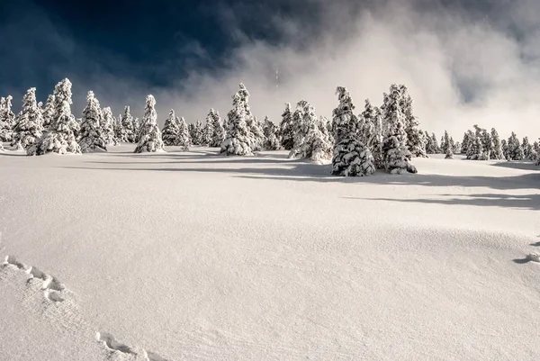Montanha praded no inverno montanhas Jeseniky na República Checa — Fotografia de Stock