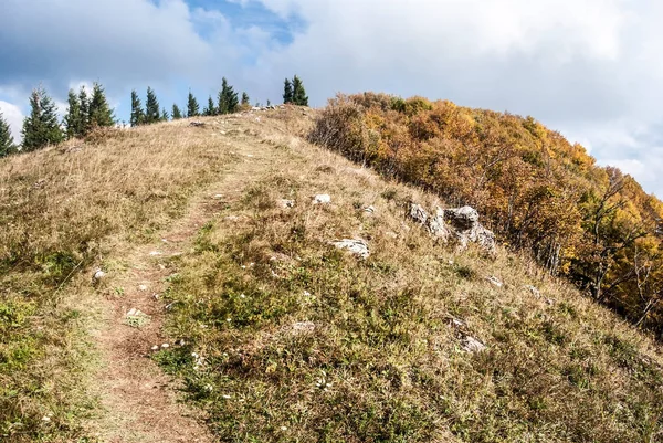 Kozi chrbat hill Slovakya Donovaly resort yakınlarındaki sonbahar Starohorske vrchy dağlarında