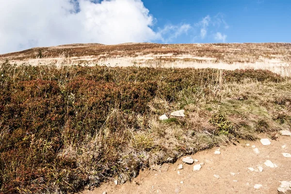 Na podzim Polonina Carynska řev Kruhly Wierch hill v Bukovské vrchy v Polsku — Stock fotografie