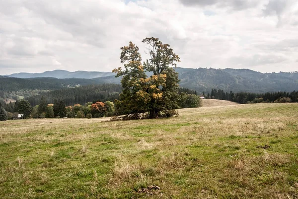 秋の Moravskoslezske Beskydy 山付近のチェコ共和国で Vysni モヘルニツェ — ストック写真