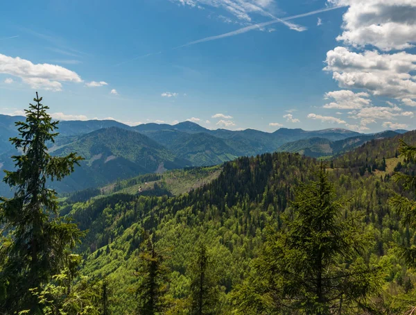 Kevät Velka Fatra vuoret Chladkove kukkula Slovakiassa — kuvapankkivalokuva