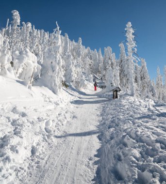 Güzel kış manzarası, Çek Cumhuriyeti 'nin Moravskoslezske Beskydy dağlarındaki Lysa Hora tepesinde haykırıyor.
