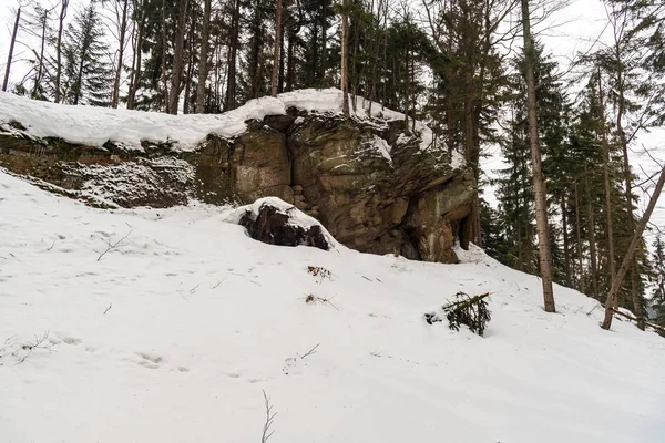 Homokkő szikla kialakulása téli erdőben hó — Stock Fotó