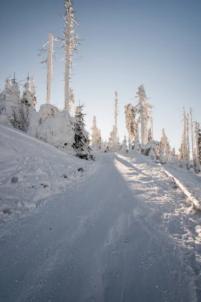 겨울 아침에는 나무가 꽁꽁 얼어붙고 맑은 하늘을 걷는 눈덮인 등산 길 — 스톡 사진
