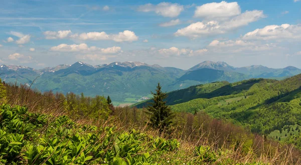 Krivanska Mala Fatra bergketen van weide tussen Klak en Chladkove heuvel in het voorjaar Velka Fatra gebergte in Slowakije — Stockfoto