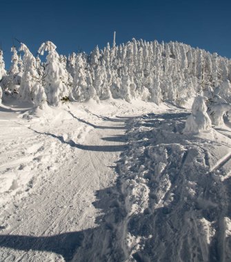 Lysa hora tepe kış Moravskoslezske Beskydy dağlarında Çek Cumhuriyeti