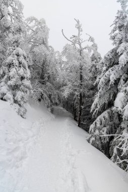 Karla kaplı yürüyüş yolu Donmuş kadın etrafında ve bulutlu gökyüzü