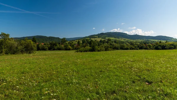 Prachtig landschap met weide, bomen, enkele huizen heuvels bedekt met bos en blauwe lucht met weinig wolken — Stockfoto