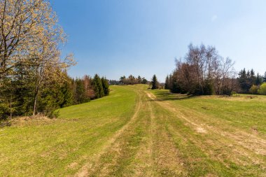 Etrafı ağaçlarla çevrili, berrak gökyüzü