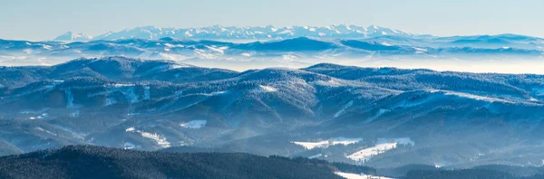 Tatra mountains from Lysa hora hill in Moravskoslezske Beskydy mountains in Czech Republic — стоковое фото