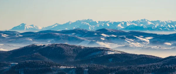 捷克共和国冬季莫拉夫斯科斯凯别斯基迪山的Belianske Tatry 、 Vysoke Tatry和Zapadne Tatry山的一部分 — 图库照片