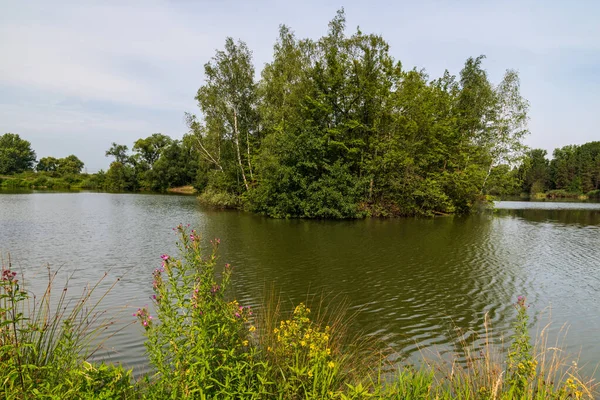 Lac avec petite île couverte d'arbres et principalement boisée environnante — Photo