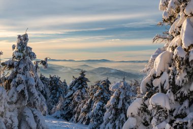 winter mountain scenery bellow Velka Raca hill in Kysucke Beskydy mountains in Slovakia