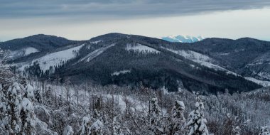 Kysucke Beskydy with few peaks of Zapadne Tatry mountains on the background from Kykula hill above Oscadnica village on slovakian - polish borders during winter