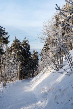 snow covered hiking trail bellow Lysa hora hill summit in Moravskoslezske Beskydy mountains in Czech republic