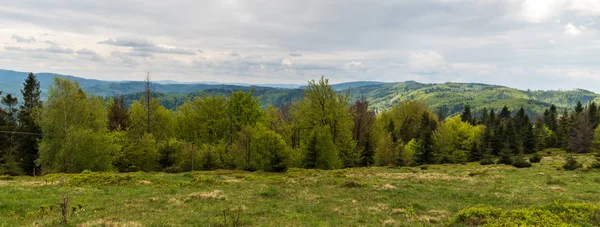 Springzime bellow Velka Cantoryje hill in Slezske Beskydy mountains on czech-polish borders — Stock Photo, Image