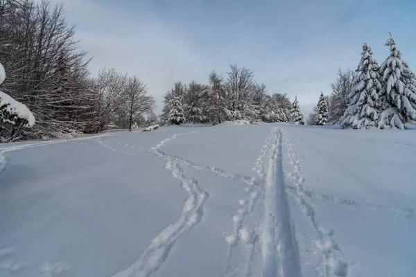 Winterlandschaft mit Skipiste und Schneeschuhen und Stiefeln, gefrorenen Bäumen und blauem Himmel — Stockfoto