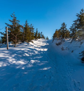 Kar, etrafı ağaçlarla kaplı yürüyüş patikası ve açık gökyüzü Magurka Wislanska tepesi kışın Polonya 'daki Beskid Slaski dağları