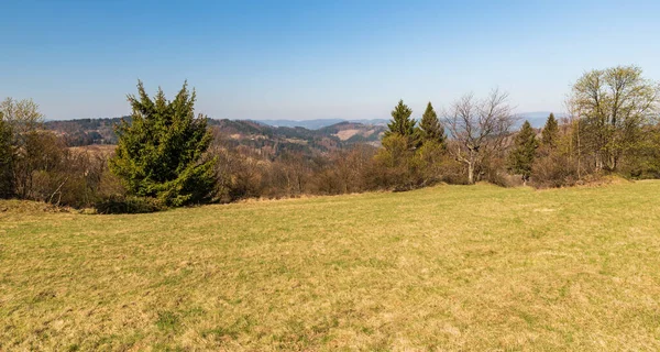 Frühling Berglandschaft Mit Wiesen Bäumen Hügeln Hintergrund Javorniky Gebirge Der — Stockfoto