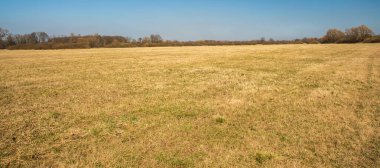 Çekoslovakya 'nın Petrvaldik köyü yakınlarındaki CHKO Poodri' de orman ve temiz gökyüzü ile ilkbahar çayırlarının başlarında
