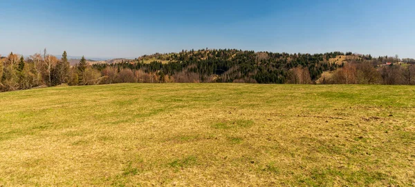 Uitzicht Martakov Vrch Heuvel Van Weide Vrchrieka Heuvel Javorniky Bergen — Stockfoto