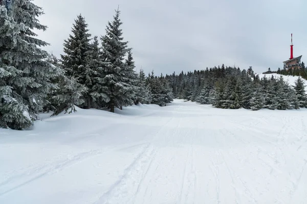 Lysa Hora Heuvel Moravskoslezske Beskydy Bergen Tsjechië Tijdens Winterdag — Stockfoto