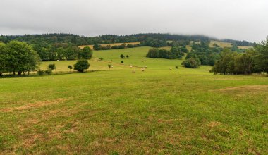 Çek Cumhuriyeti 'nin Trutnov kasabası yakınlarındaki Stachelberg üzerinde saman yığınları, orman ve tepelerle kaplı çayırların oluşturduğu yuvarlak bir manzara.