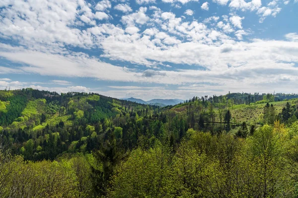 Uitzicht Vanaf Uitkijktoren Kabatice Boven Chlebovice Dorp Bij Frydek Mistek — Stockfoto
