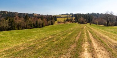 Slovakya 'nın Neslusa köyünün yukarısındaki Vrchrieka tepesi yakınlarındaki Javorniky dağlarında çayırlar, orman, patika gezisi ve açık gökyüzü var.