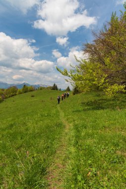 Velka Fatra dağlarındaki Magura tepesi yakınlarındaki dağ çayırında yürüyüş yaparken, Slovakya 'nın arka planında Krivanska Mala Fatra dağ sıraları yer alıyor.