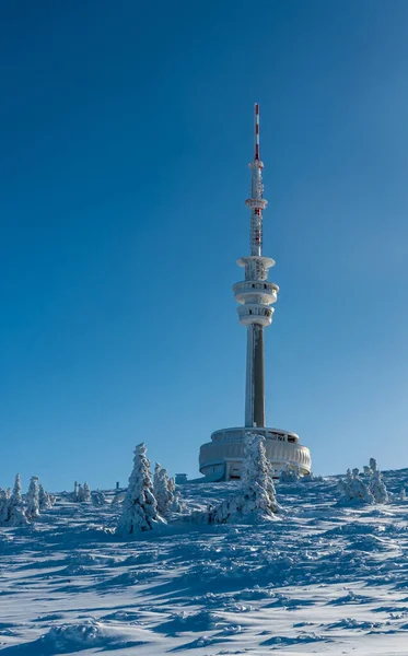 Praded hill with frozen small trees, communication tower and snow in Jeseniky mountains in Czech republic during amazing freezing winter day with clear sky