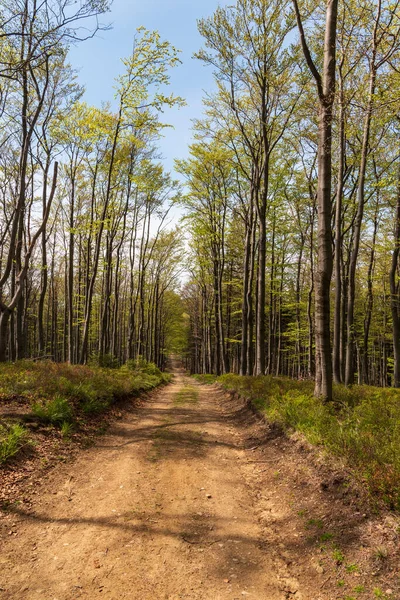 Springtime Moravskoslezske Beskydy Mountains Prislop Hill Summit Reka Village Czech Stock Image