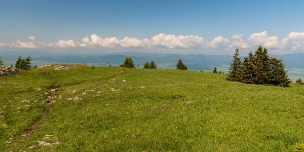 Tlsta Cumbre Colina Primavera Velka Fatra Montañas Eslovaquia Con Florecientes —  Fotos de Stock