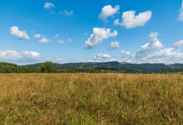 Paisaje Beuatifull Con Prados Árboles Colinas Fondo Cielo Con Pocas —  Fotos de Stock