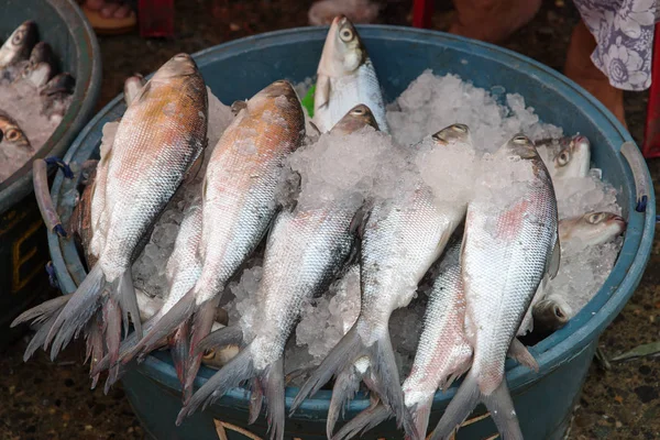 菲律宾最喜欢的鱼烤 bangus-遮目鱼 — 图库照片